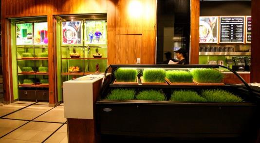Liquid Nutrition wheatgrass display counter